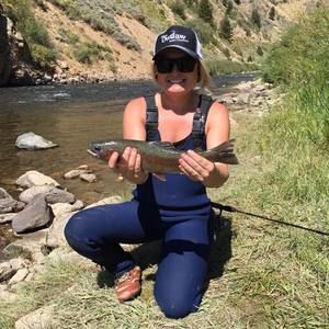 Meet your Posher, Shelby